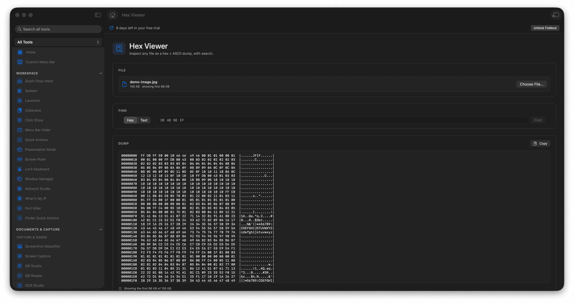 Foldout Inspect files as hex and ASCII tool screen on macOS