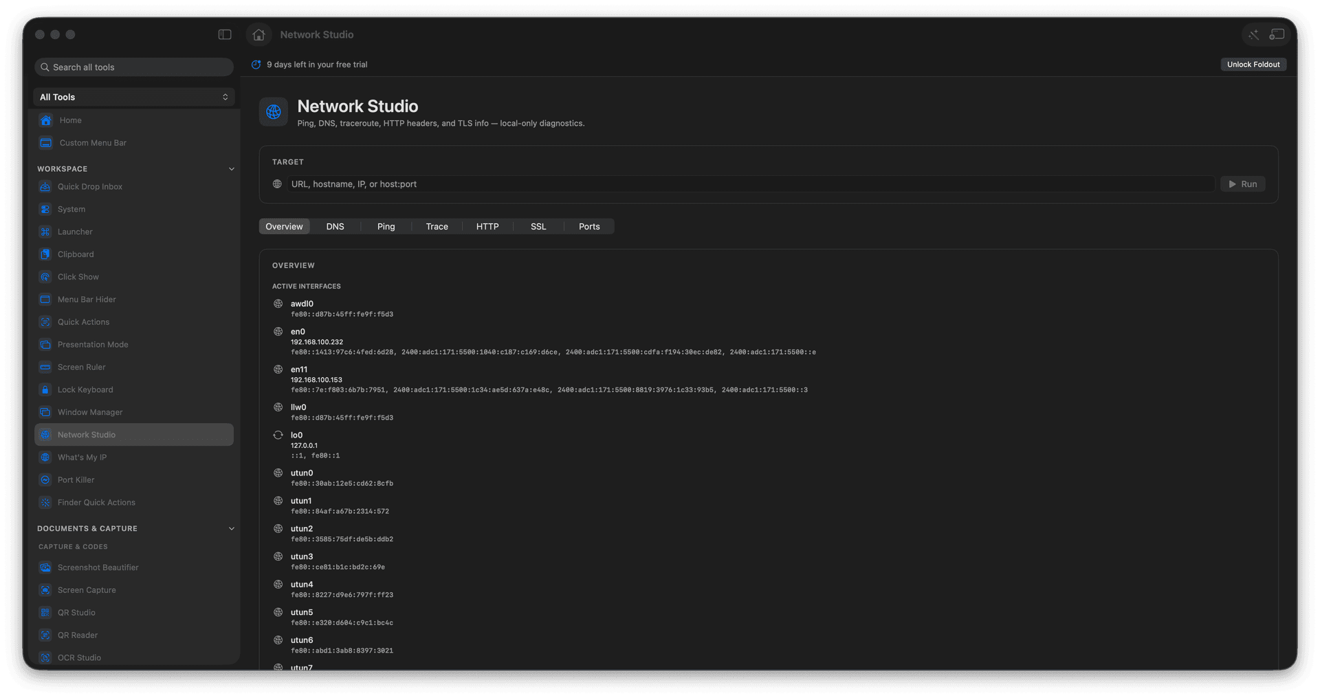 Foldout Run local network diagnostics from one workspace tool screen on macOS
