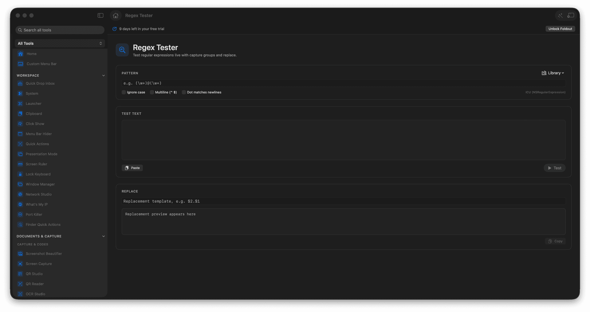 Foldout Test regular expressions with matches and capture groups tool screen on macOS