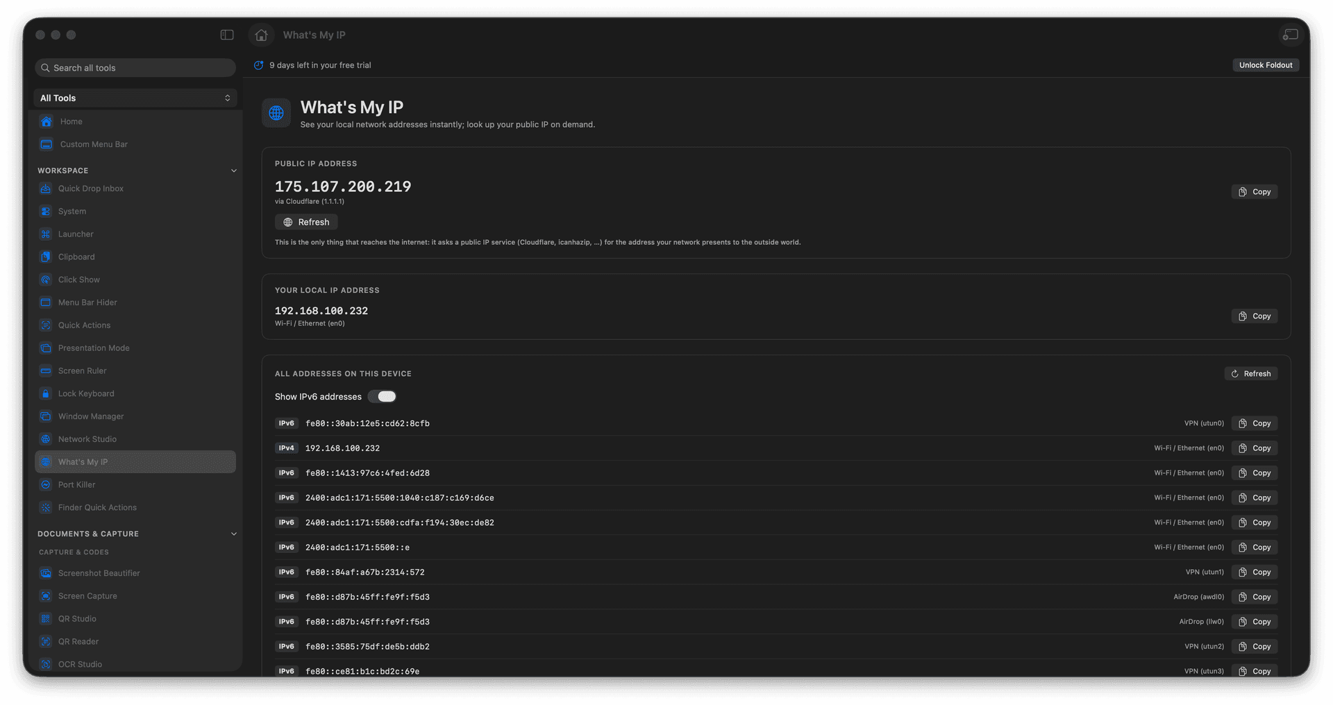 Foldout See local addresses and look up your public IP on demand tool screen on macOS